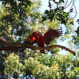 Costa Rica20150407-1836-1306